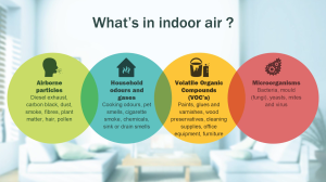 Indoor Air Quality: How It Affects Your Health at Work